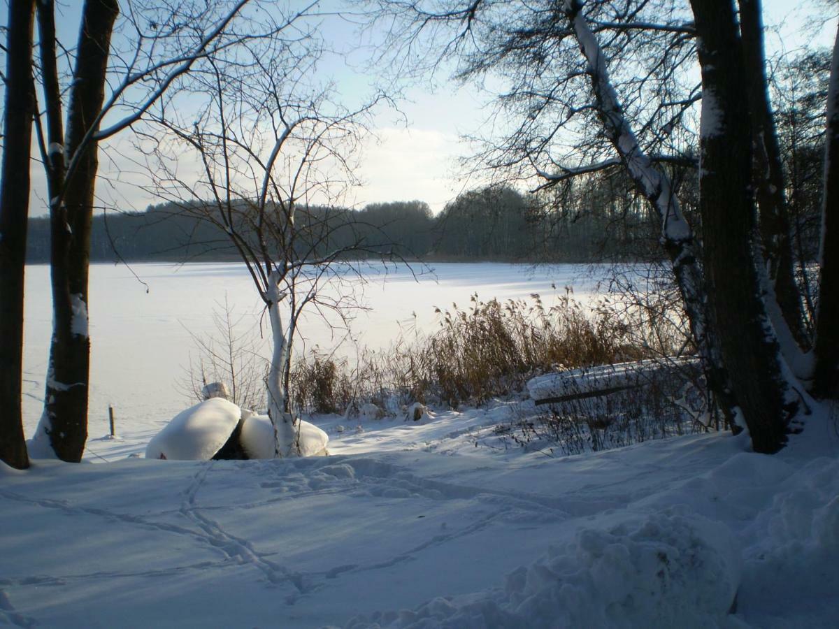 Romantisches Hotel Zur Traube Schwerin シュヴェリーン エクステリア 写真